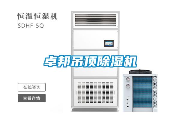 卓邦吊顶91抖音免费看片