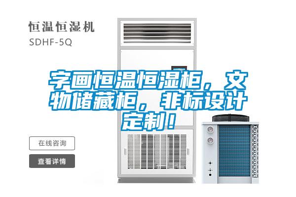 字画恒温恒湿柜，文物储藏柜，非标设计定制！