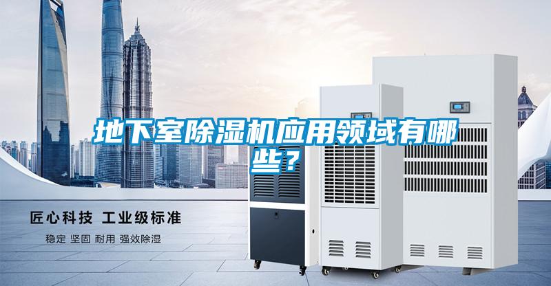地下室91抖音免费看片应用领域有哪些？