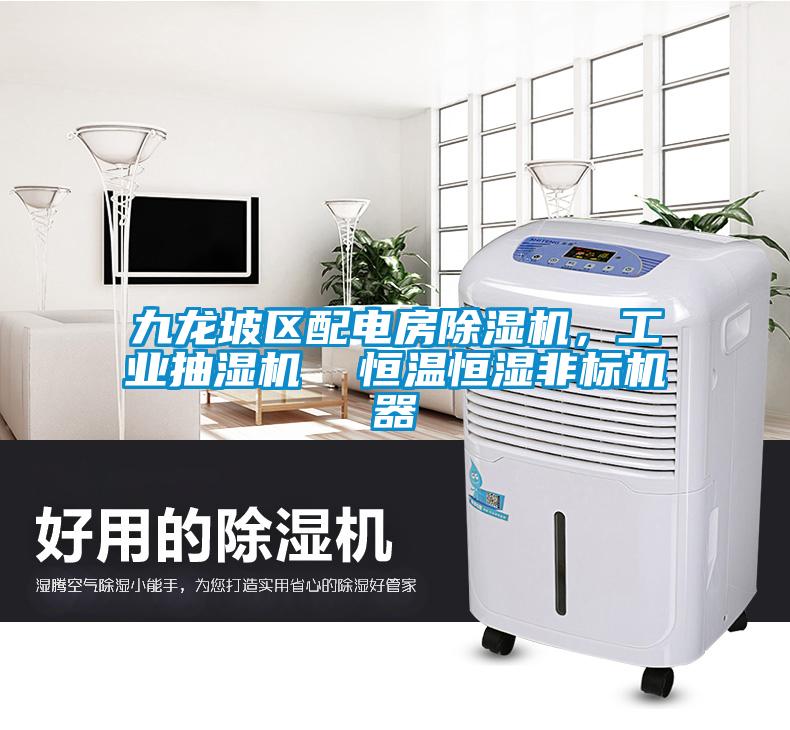 九龙坡区配电房91抖音免费看片，工业抽湿机  恒温恒湿非标机器