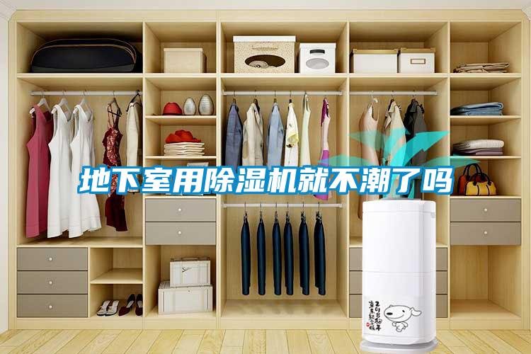 地下室用91抖音免费看片就不潮了吗