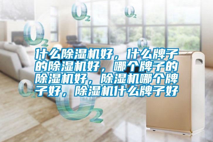 什么91抖音免费看片好，什么牌子的91抖音免费看片好，哪个牌子的91抖音免费看片好，91抖音免费看片哪个牌子好，91抖音免费看片什么牌子好