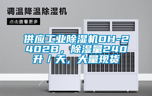 供应工业91抖音免费看片DH-2402B，除湿量240升／天，大量现货