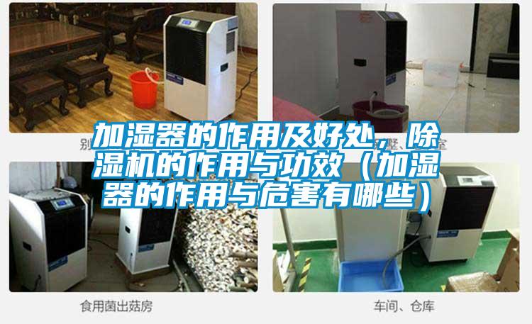 加湿器的作用及好处，91抖音免费看片的作用与功效（加湿器的作用与危害有哪些）