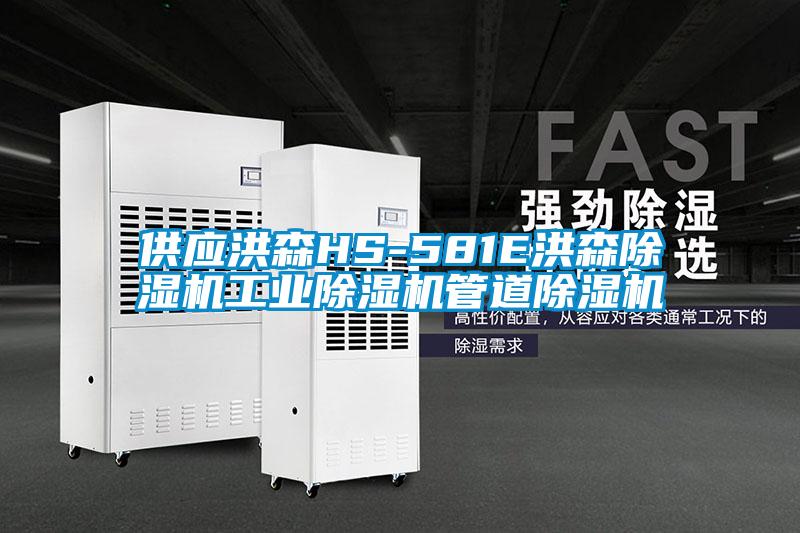 供应洪森HS-581E洪森91抖音免费看片工业91抖音免费看片管道91抖音免费看片