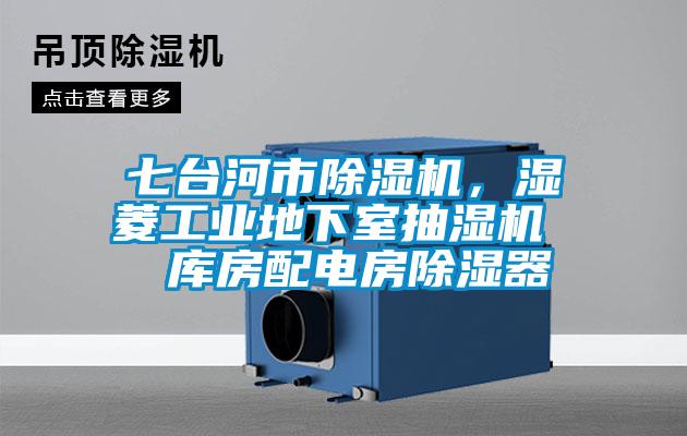 七台河市91抖音免费看片，湿菱工业地下室抽湿机  库房配电房除湿器