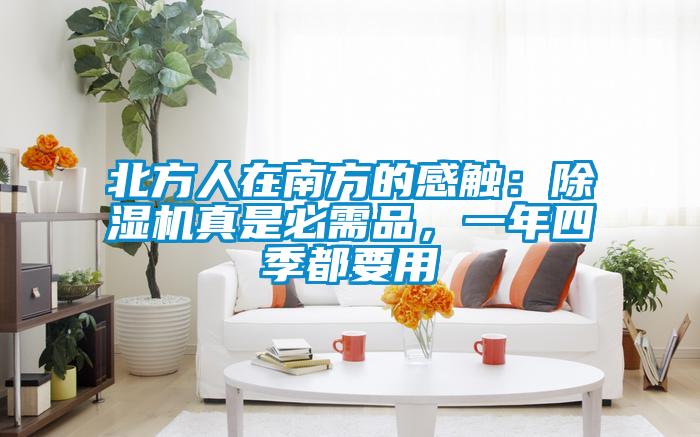 北方人在南方的感触：91抖音免费看片真是必需品，一年四季都要用