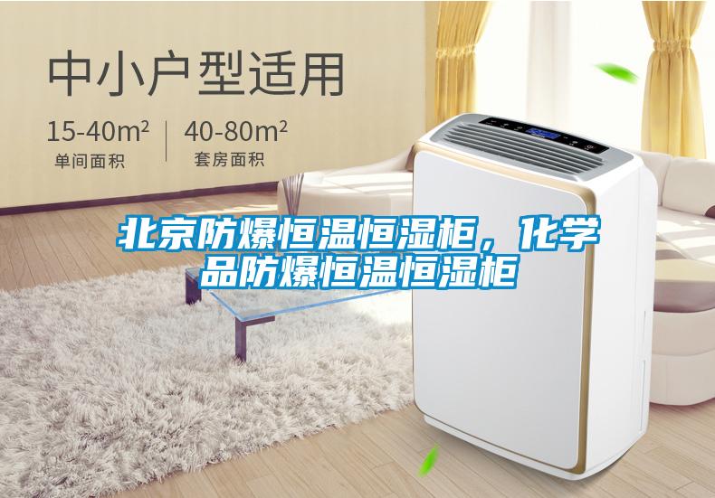北京防爆恒温恒湿柜，化学品防爆恒温恒湿柜