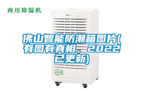佛山智能防潮箱图片(有图有真相，2022已更新)