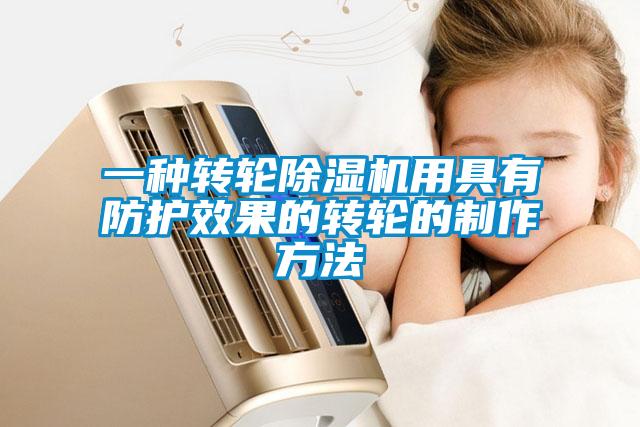 一种转轮91抖音免费看片用具有防护效果的转轮的制作方法