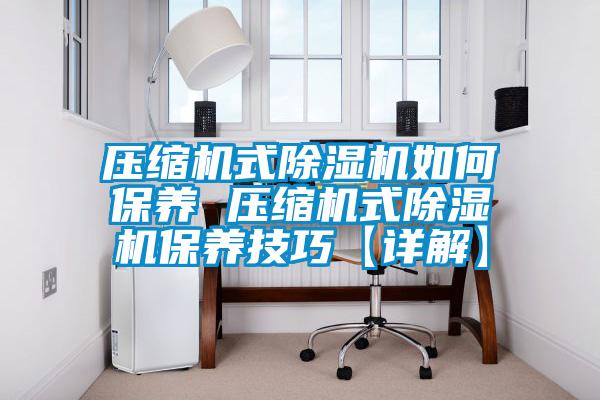 压缩机式91抖音免费看片如何保养 压缩机式91抖音免费看片保养技巧【详解】
