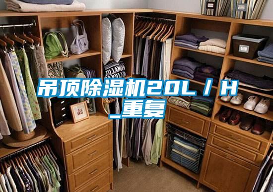 吊顶91抖音免费看片20L／H_重复