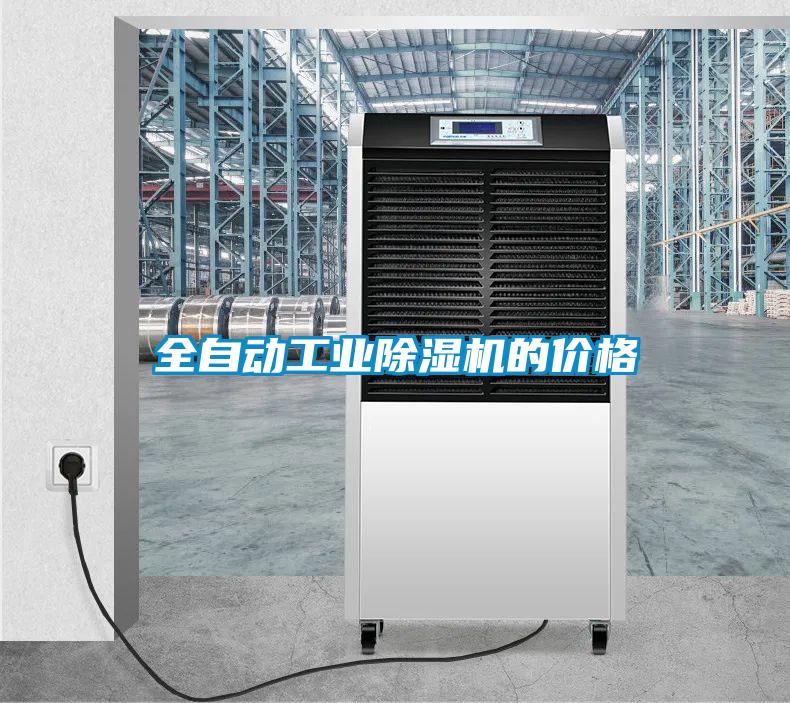 全自动工业91抖音免费看片的价格