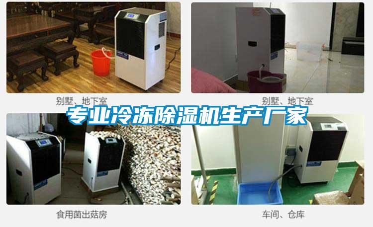 专业冷冻91抖音免费看片生产厂家