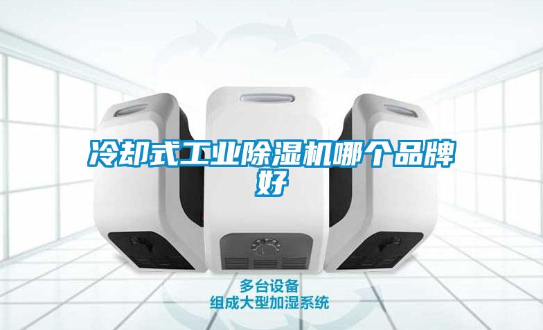 冷却式工业91抖音免费看片哪个品牌好