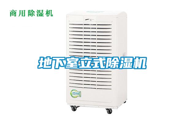地下室立式91抖音免费看片
