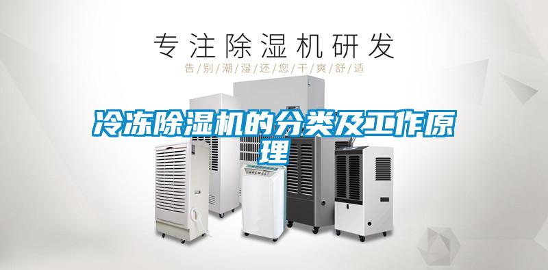 冷冻91抖音免费看片的分类及工作原理