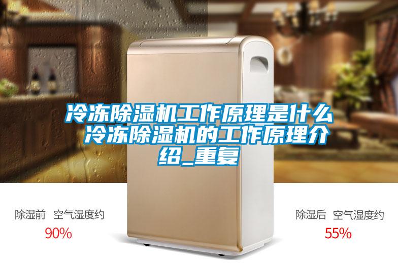 冷冻91抖音免费看片工作原理是什么 冷冻91抖音免费看片的工作原理介绍_重复