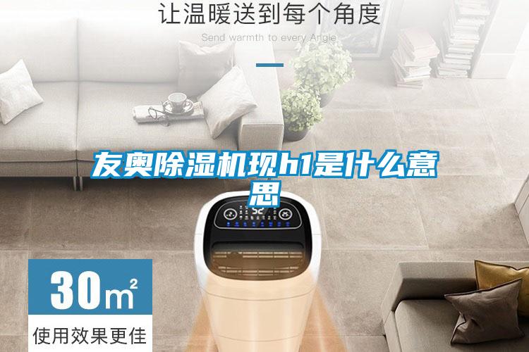 友奥91抖音免费看片现h1是什么意思