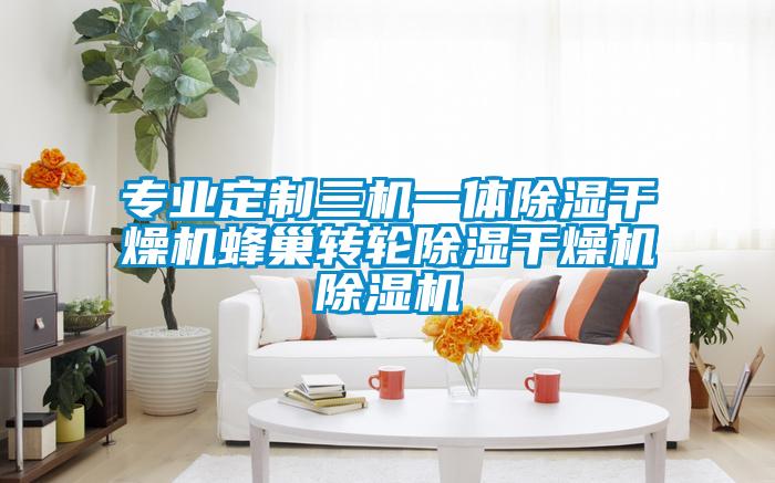 专业定制三机一体除湿干燥机蜂巢转轮除湿干燥机91抖音免费看片