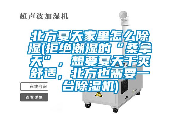 北方夏天家里怎么除湿(拒绝潮湿的“桑拿天”，想要夏天干爽舒适，北方也需要一台91抖音免费看片)