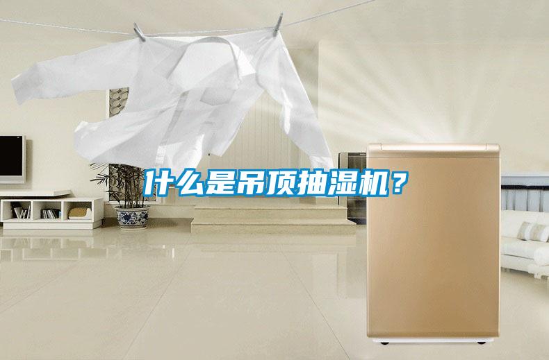 什么是吊顶抽湿机？