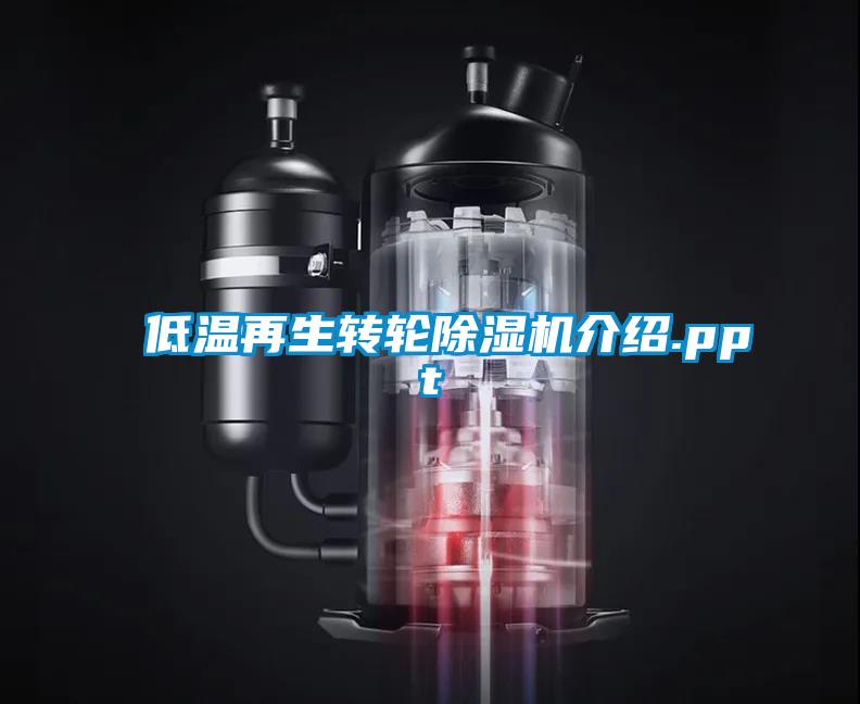 低温再生转轮91抖音免费看片介绍.ppt