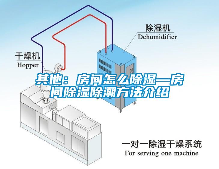 其他：房间怎么除湿—房间除湿除潮方法介绍