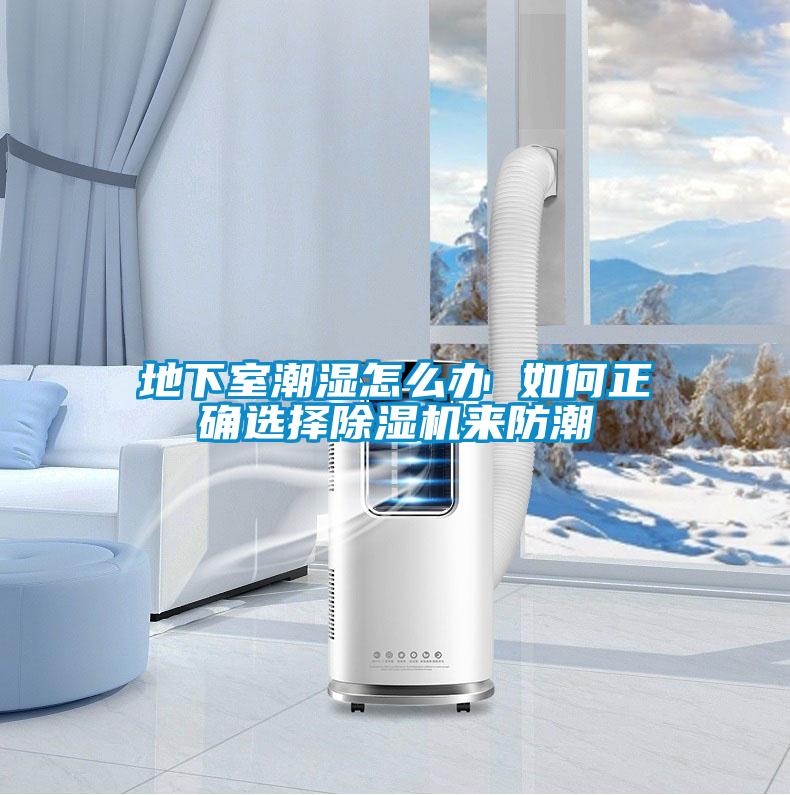 地下室潮湿怎么办 如何正确选择91抖音免费看片来防潮