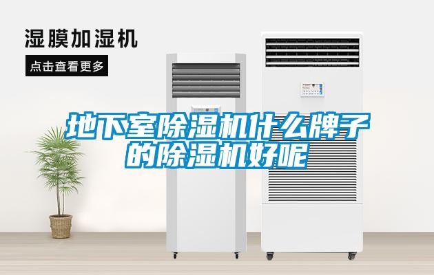 地下室91抖音免费看片什么牌子的91抖音免费看片好呢