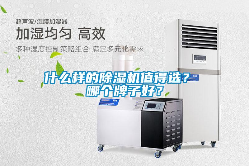 什么样的91抖音免费看片值得选？ 哪个牌子好？