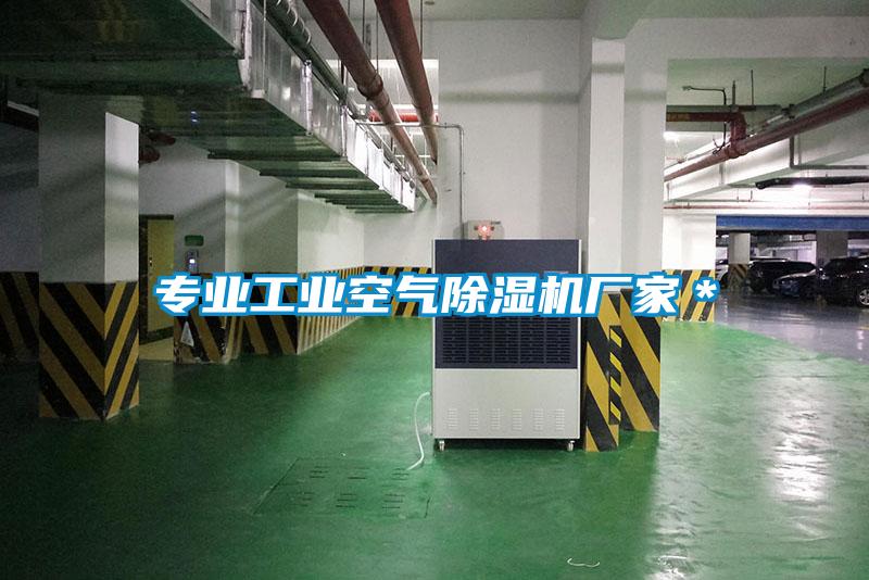 专业工业空气91抖音免费看片厂家＊