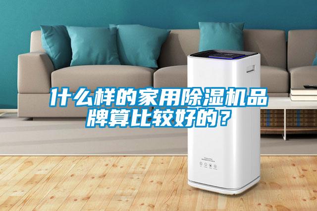 什么样的家用91抖音免费看片品牌算比较好的？