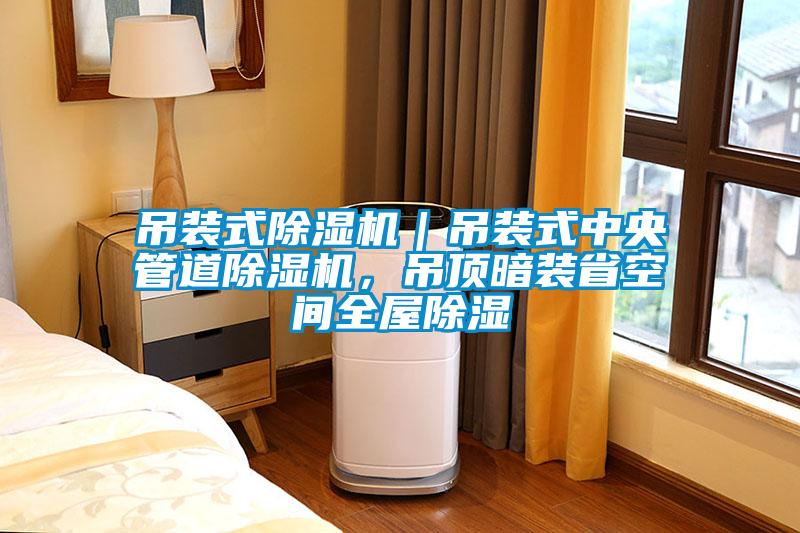 吊装式91抖音免费看片｜吊装式中央管道91抖音免费看片，吊顶暗装省空间全屋除湿