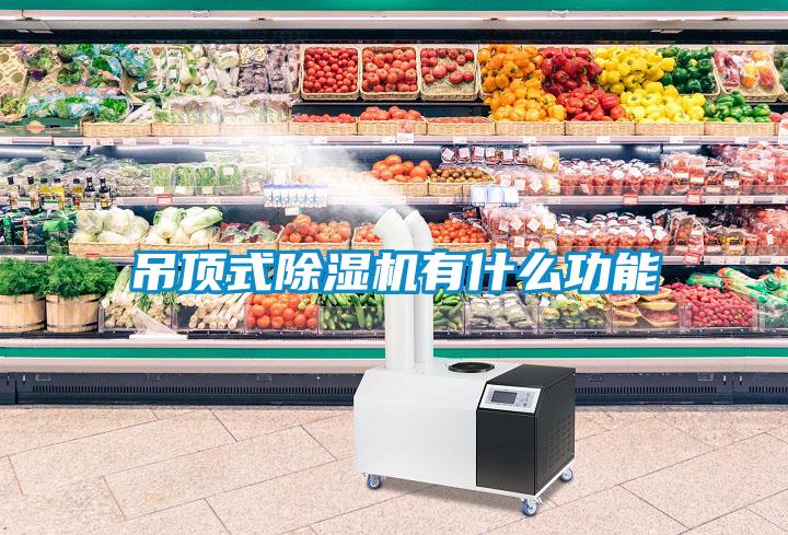 吊顶式91抖音免费看片有什么功能