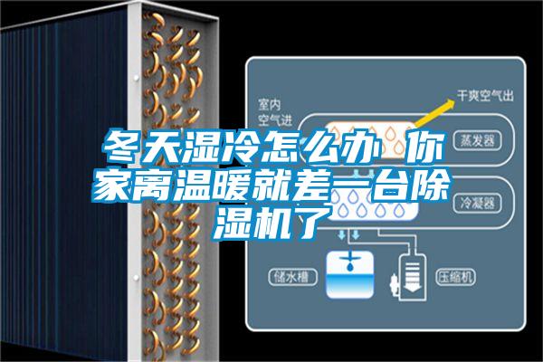 冬天湿冷怎么办 你家离温暖就差一台91抖音免费看片了