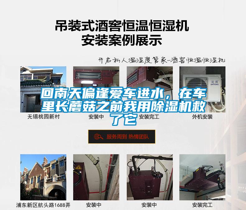 回南天偏逢爱车进水，在车里长蘑菇之前我用91抖音免费看片救了它