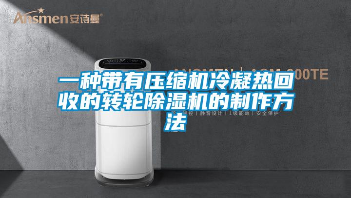 一种带有压缩机冷凝热回收的转轮91抖音免费看片的制作方法