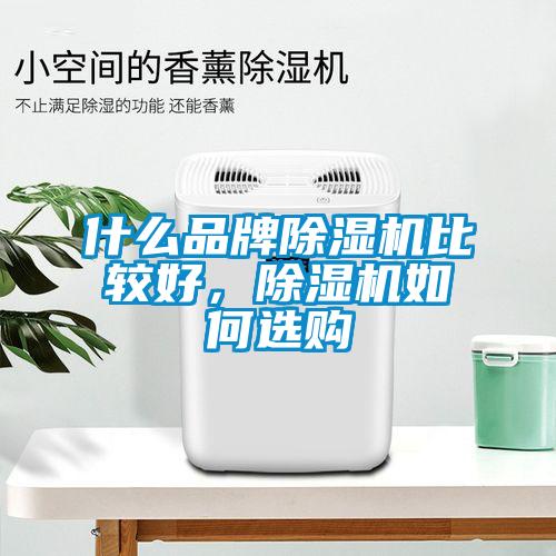 什么品牌91抖音免费看片比较好，91抖音免费看片如何选购