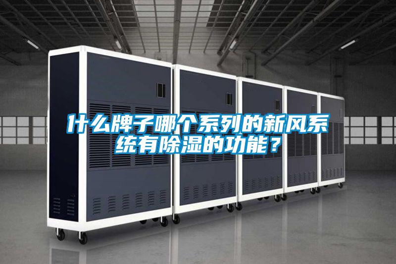 什么牌子哪个系列的新风系统有除湿的功能？