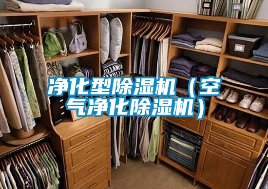 净化型91抖音免费看片（空气净化91抖音免费看片）