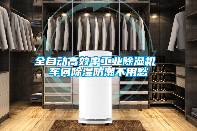 全自动高效率工业91抖音免费看片 车间除湿防潮不用愁