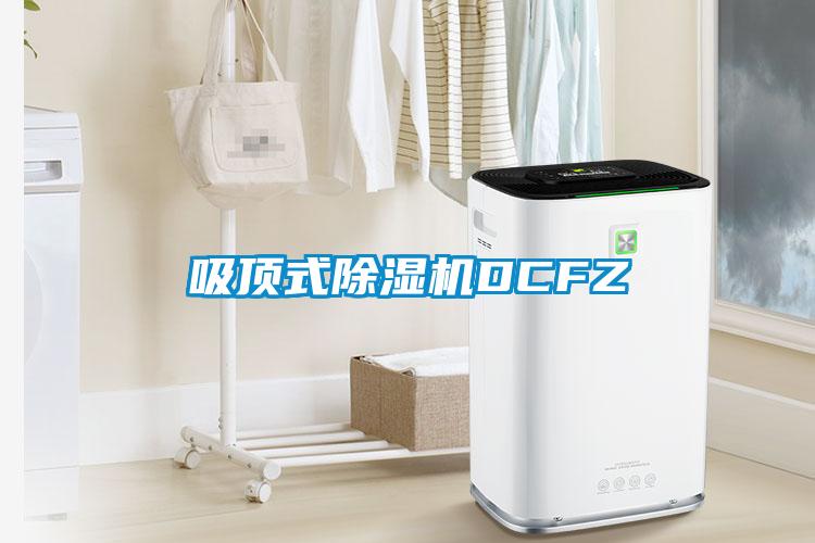 吸顶式91抖音免费看片DCFZ