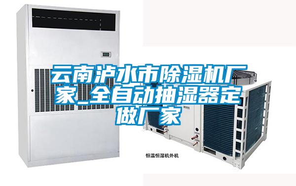 云南泸水市91抖音免费看片厂家_全自动抽湿器定做厂家
