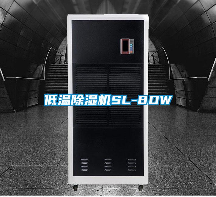 低温91抖音免费看片SL-8DW