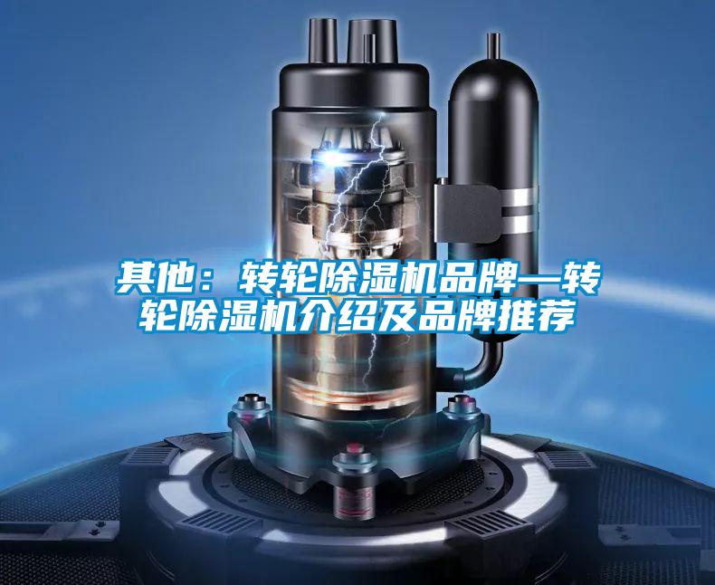 其他：转轮91抖音免费看片品牌—转轮91抖音免费看片介绍及品牌推荐