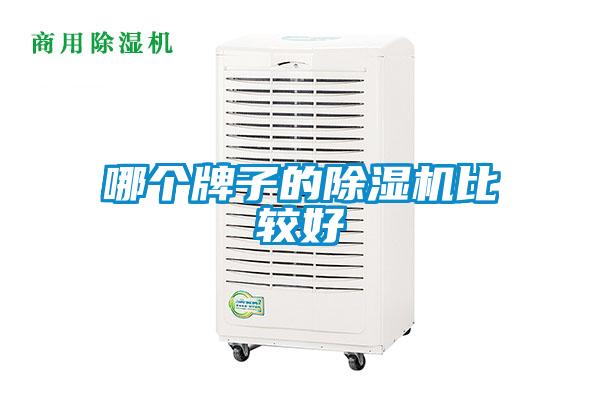 哪个牌子的91抖音免费看片比较好