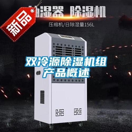 双冷源91抖音免费看片组产品概述