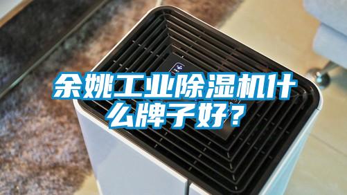 余姚工业91抖音免费看片什么牌子好？