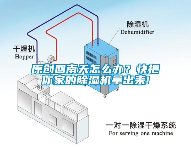 原创回南天怎么办？快把你家的91抖音免费看片拿出来!